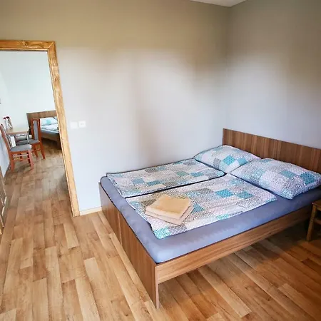 U Vinice Guest house *