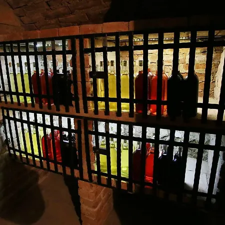 U Vinice 3*
