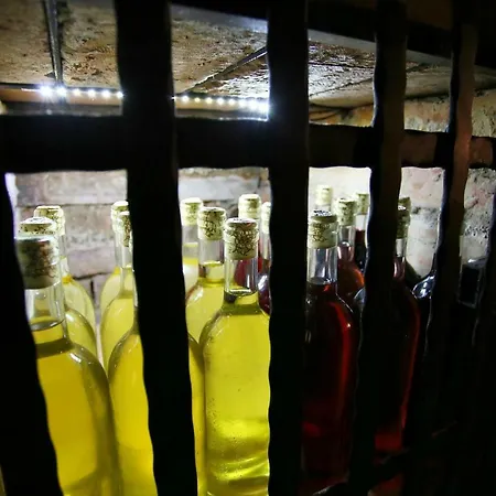 Casa de hóspedes U Vinice