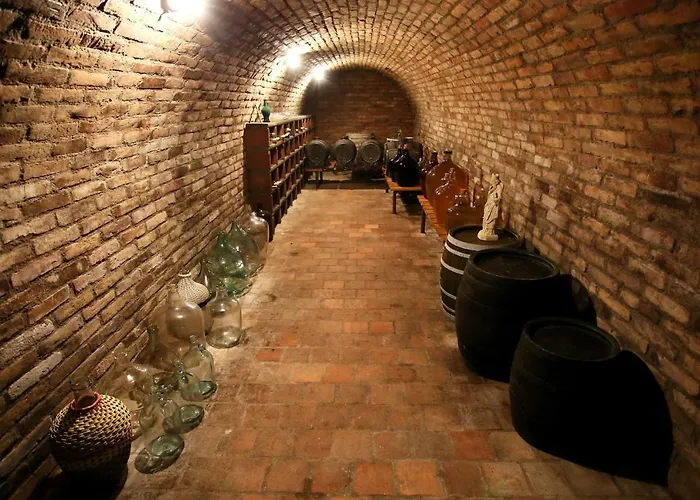 Gasthuis U Vinice Sedlec (Breclav)